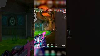 Nasty Tree Hold 3K #gekko #valorantclips #shorts #OmSick #compi