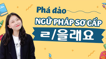 PHÁ ĐẢO NGỮ PHÁP TIẾNG HÀN SƠ CẤP: (으)ㄹ래요