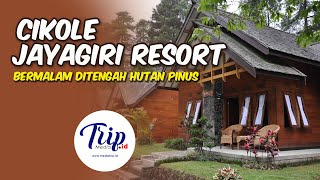 CIKOLE JAYAGIRI RESORT BANDUNG | THE SENSATION OF SLEEPING IN THE MIDDLE OF A PINE FOREST | LEMBA...