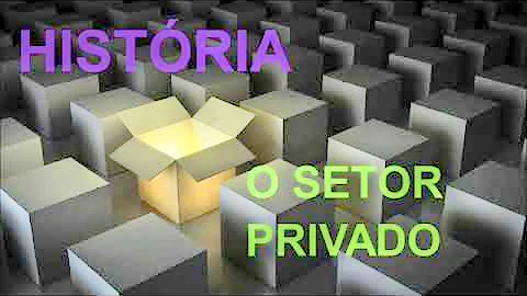 O que é setor privado exemplo?
