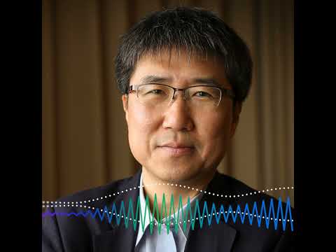 Ha-Joon Chang on Infant Industry Protection