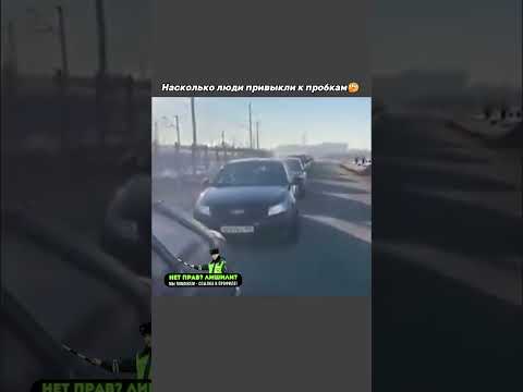 Причина 80% пробок это машина за автором🙄 #shorts #авто #прикол #автоприкол #автоприколы #автоюмор