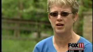 Mystery surrounds death of turtles