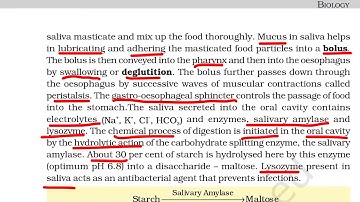 Digestion and absorption part 2(digestion of food)