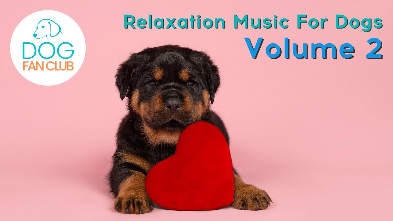 Free Dog Relaxation Music Volume 2 (1 Hour and 59 minutes) YouTube