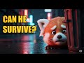 The Story of a Lost Red Panda Who Traveled 1,000 Miles to Get Home