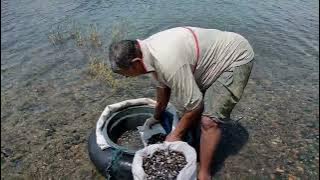 MENCARI PENSI DI DANAU SINGKARAK