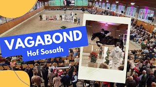 Springhengst Vagabond - Cara Mias Mr. Right - Hof Sosath