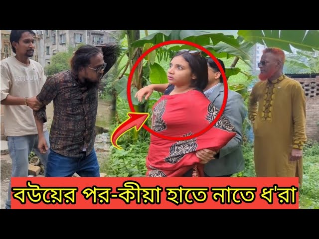 Sher King jinsiy chandiq va naqd pul Mashhur qizlar va ularning mushuklari