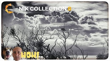 DXO Nik Collection 8 - First Impressions and Walkthrough