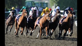2008 Breeders' Cup - ESPN Broadcast *Poor Quality* Information