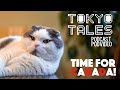 Tokyo Tales - What Was Canada Like? (Simon and Martina Podcast Episode 26)