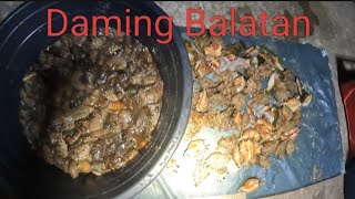 Gabing sisid balatan halo Sa_ang.