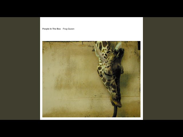 People In The Box　Frog Queen　Rabbit Hole バースデイ - YouTube