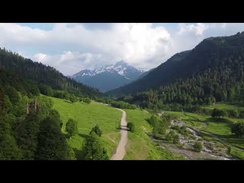 Альпийские луга. Абхазия 2022