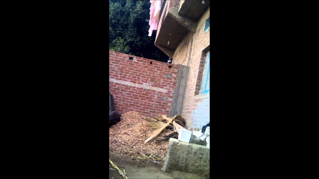 ابناء السيد ابوزقالي