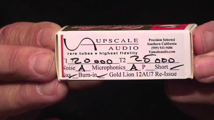 Upscale Audio's Kevin Deal reviews the Gold Lion 1...