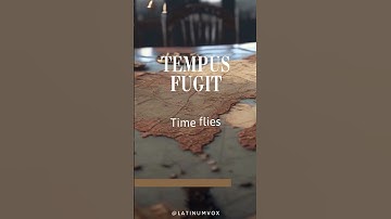 Time Flies: Tempus Fugit
