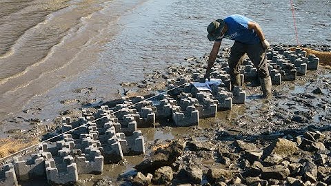Building Urban Resilience: The Living Shoreline