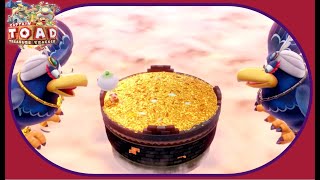 Captain Toad Treasure Tracker - Dual Wingo Boss Fight - No Damage