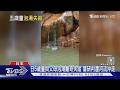 日5歲童與父母泡湯離奇失蹤 警研判遭河流沖走｜TVBS新聞 @TVBSNEWS01