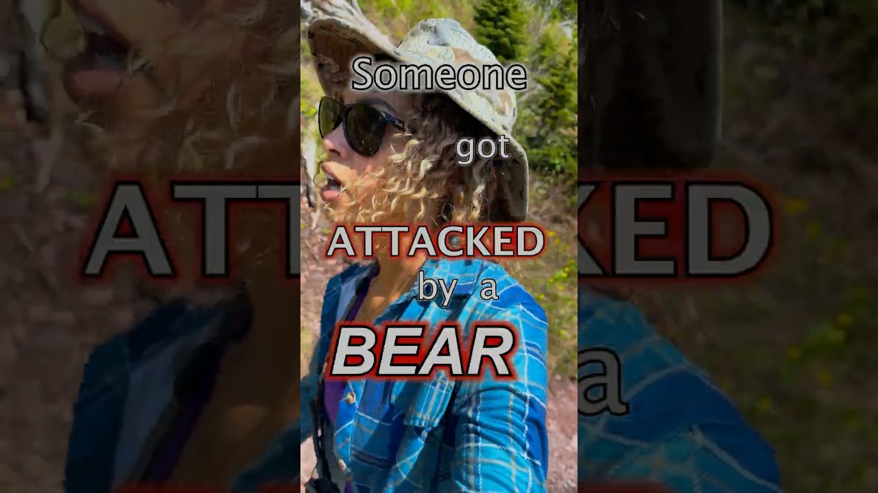 Bear Attack Glacier National Park #bear #outdoors #hiking #wildlife #adventure