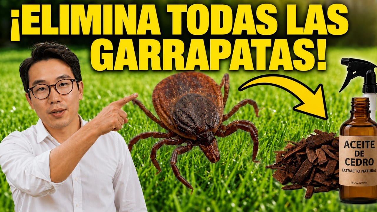 Elimina todas las garrapatas de tu jardín... ¡seguro para mascotas y niños!