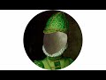 Alex O Clock Taki Taki Dum Original Mix Alex O Clock Taki Taki Dum Original Mix