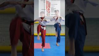 basic training for front kick and apgubi #poomsae  #taekwondo #martialarts #tkd #poomsaetraining