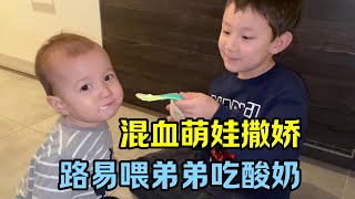 1歲大混血萌娃可會撒嬌看到哥哥吃酸奶非要蹭過來路易真大方