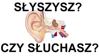 Słyszeć a słuchać - subtelna różnica, ogromna przewaga Słyszeć a słuchać - subtelna różnica, ogromna przewaga