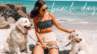 she was attacked at the beach? | lesbian couple | allie and sam