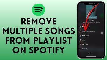 How to Remove Songs From Spotify Playlist (2024)
