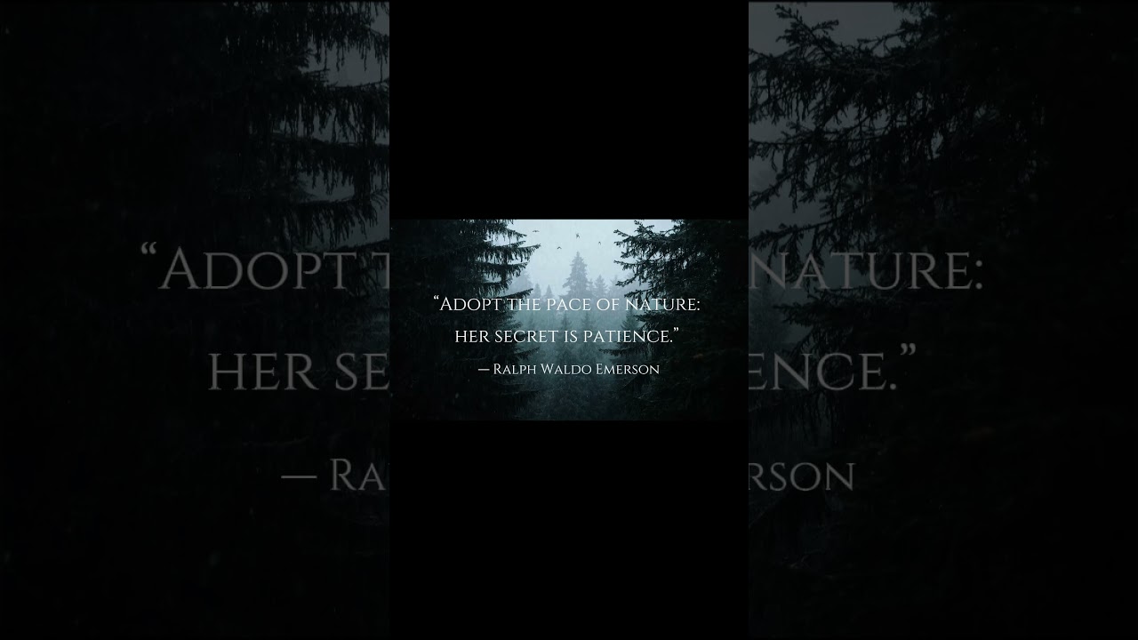 Patience Is the Secret — A Winter Reminder from Nature