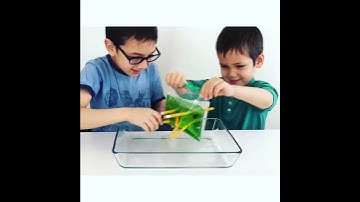Easy DIY Science Experiments - Leak Proof Bag with Pencil!