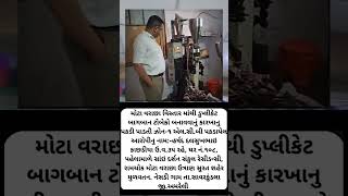 #motavarachha #bagban #tobacco #dublicate #surat #gujrat #music #news