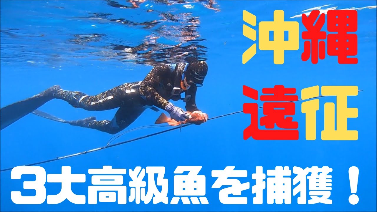 関西お魚突き 関東編