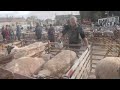 Masham Sheep Fair 2025