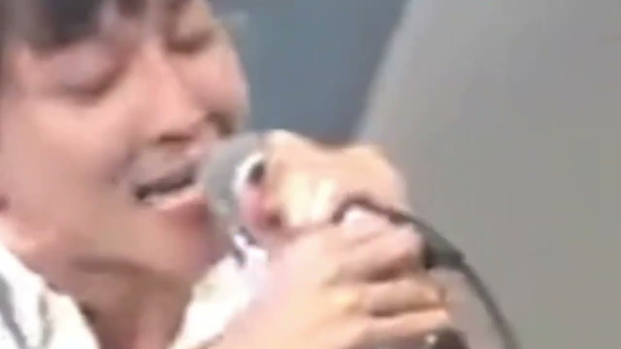 伝説の「ズッ友」 神聖かまってちゃん