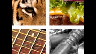 Ultimate Close Ups - Level 11-20 Answers screenshot 4