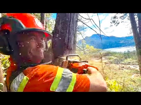 Video Fantastic day in the bush | after work exploring... - youtube