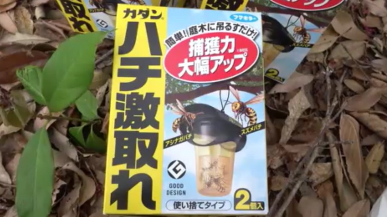 めちゃくちゃヤバいスズメバチ大量捕獲