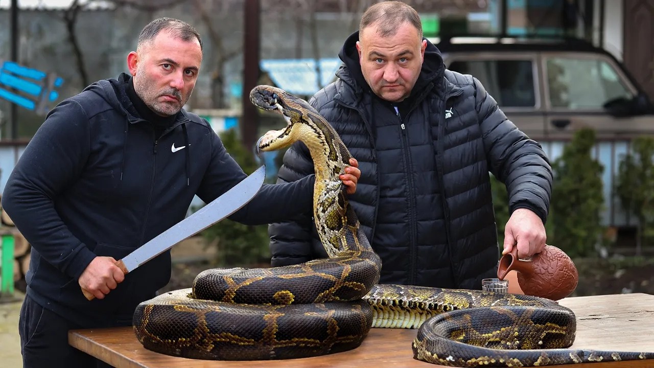 24/7 🔥 ЛУЧШИЕ МЯСНЫЕ БЛЮДА КАВКАЗА | БУЙВОЛ 500 кг, КОПТИМ ВСЁ, ШЕДЕВРЫ из ТАНДЫРА, ЗМЕЯ на МАНГАЛЕ