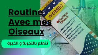 متى يكون الايفوماك للعلاج، و متى يكون للوقاية