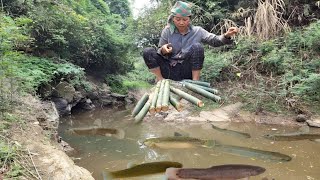 Setting a simple trap to catch stream fish from bamboo pipes_The life of a single old mother