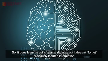 I Tried To Learn Like An AI