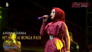 ANISA RAHMA ( SETANGKAI BUNGA PADI ) LIVE SHOW OM ROSI PRO MUSIC
