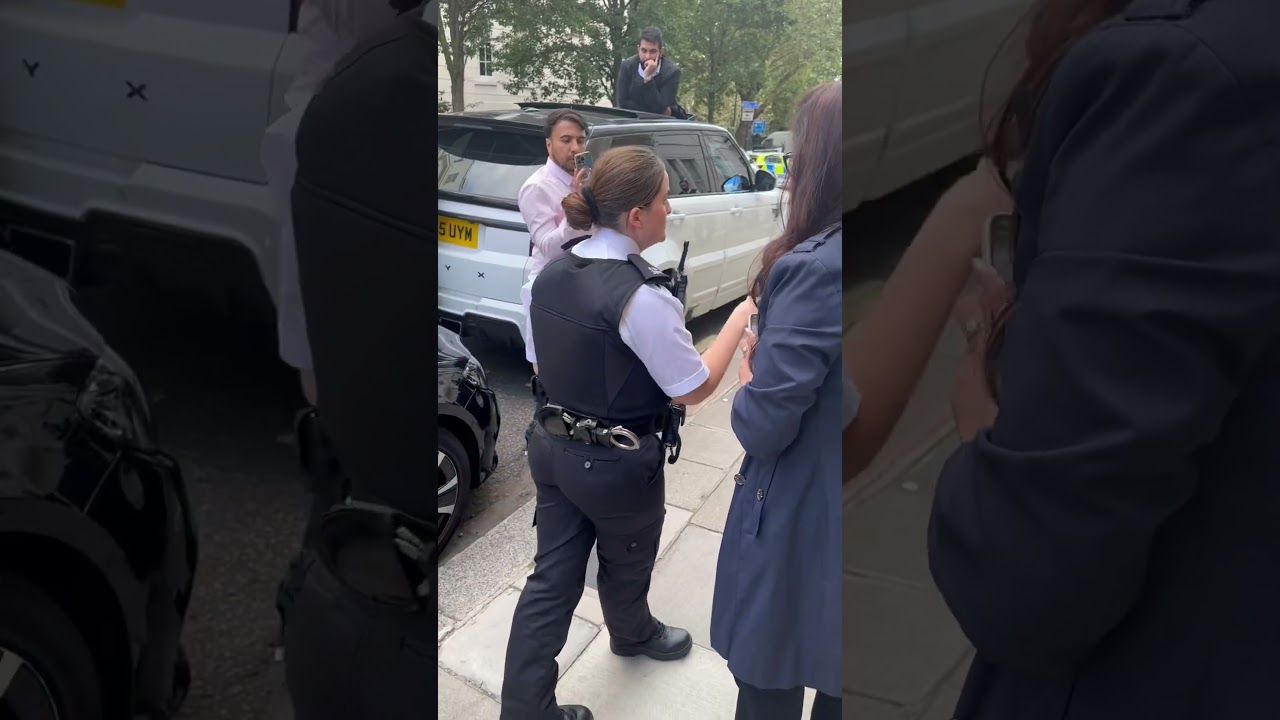 PTI and PMLN workers confront eachother in London