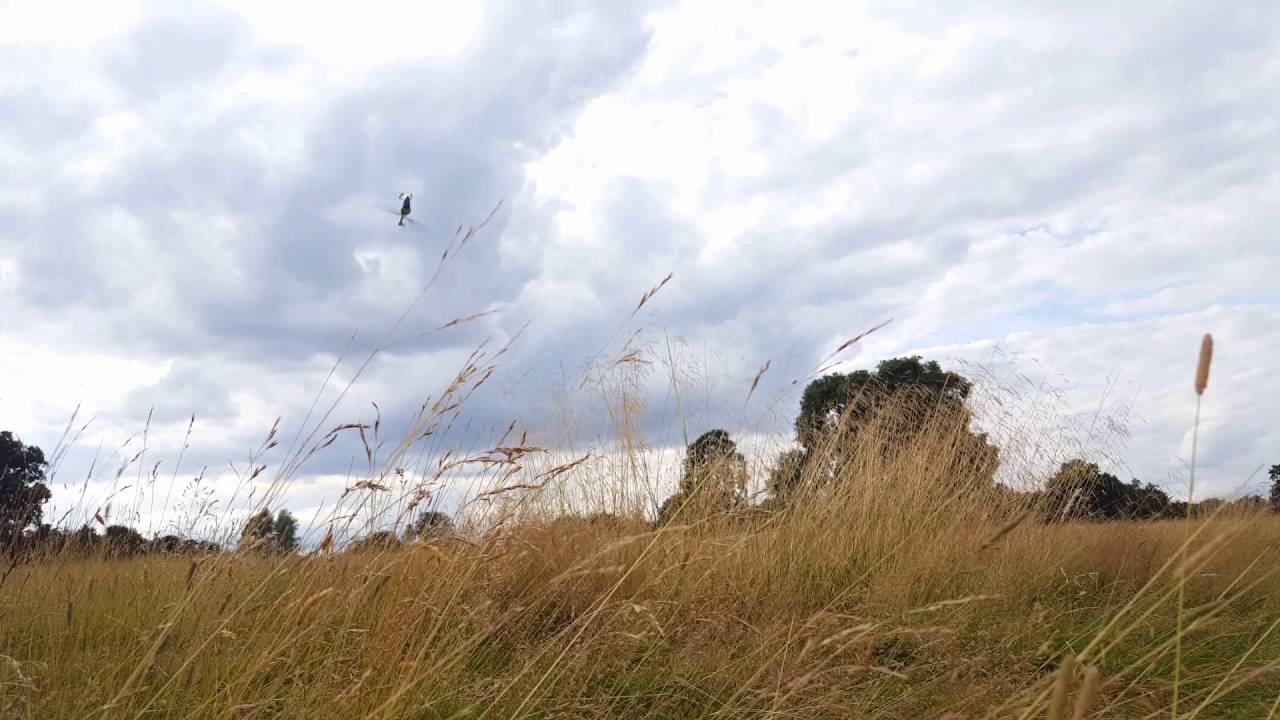 Goblin 380 cutting grass