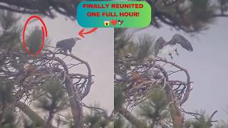 October 30, Where Were Shadow And KAYDEE All This Time — And Why Did They Finally Return! 🤔😭🦅